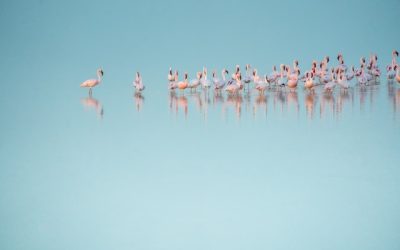 Szenische Sehenswürdigkeiten auf einer Namibia-Rundreise erleben